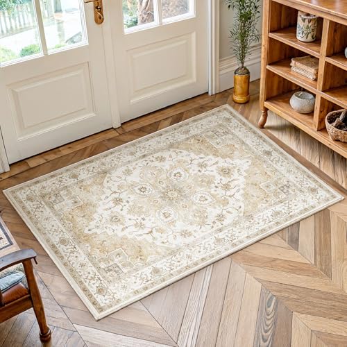 Amada Small 2x3 Washable Area Rug for Entryway (2' x 3' (Runner) / Distressed Beige/Cream)