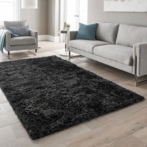Black Area Rug 5x7 Rugs for Living Room (3- Black / 5' x 7' (Rectangular))