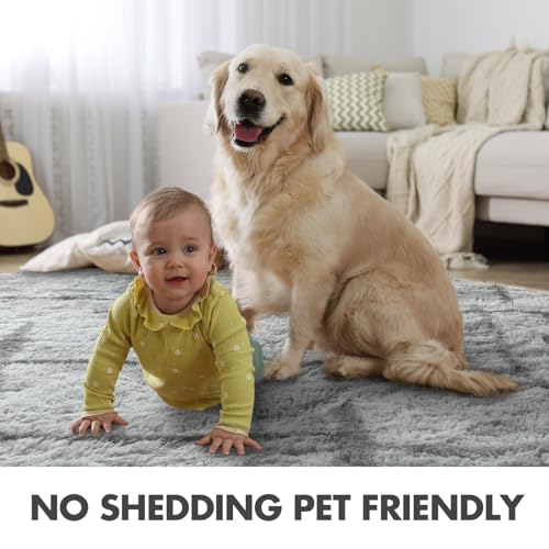 8x10 Ft Extra Large Shag Rugs for Living Room (Ed Grey 5sm01 / 8' X 10' (Rectangular))
