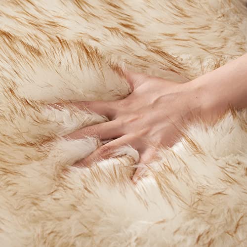 Fluffy Area Rug 3'x5' Large Faux Fur Sheepskin Rug FrostedTips Brown (3' x 5' (Sheepskin) / Frosted Tips Brown)