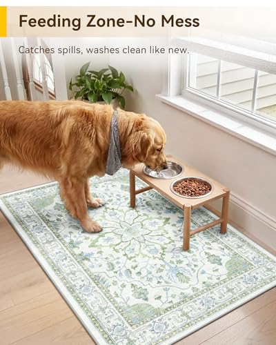 Washable Area Rug (Green/White/Blue / 2' x 3' (Rectangular))