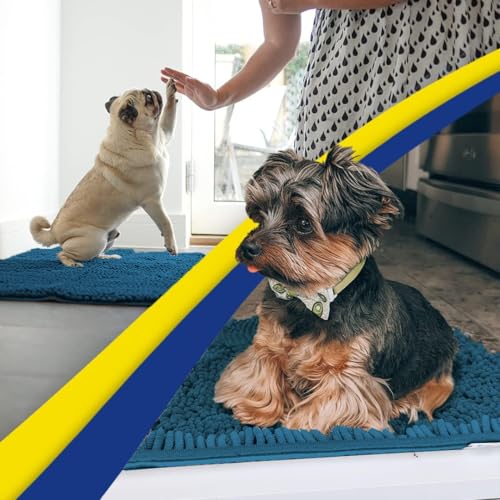 Super Water Absorbent Door Mat Indoor (Atlantic Blue / 16" x 24")