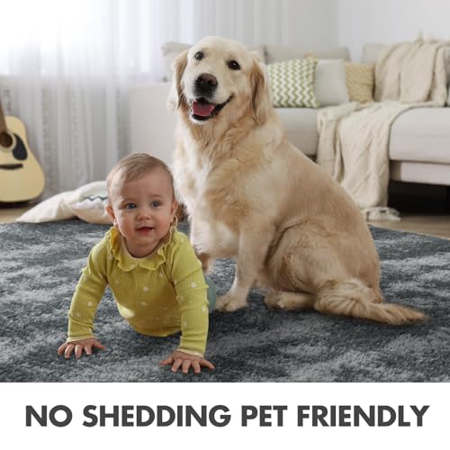 9x12 Ft Extra Large Shag Rugs for Living Room (Ff Grey 5sm02 / 9' X 12' (Rectangular))