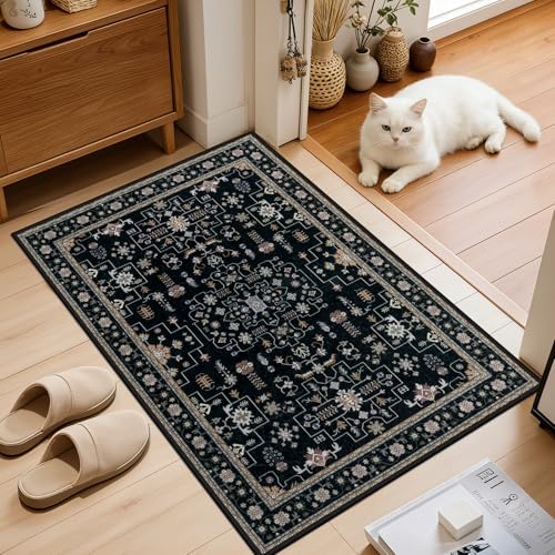 2x3 Area Rugs Living Room (Black / 2' x 3' (Rectangular))