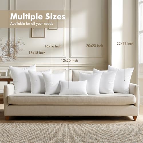 18x18 Pillow Inserts 4 Pack (18x18 Inch)