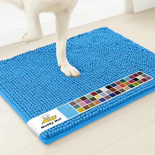 Super Water Absorbent Door Mat Indoor (Sky Blue / 18" x 28")