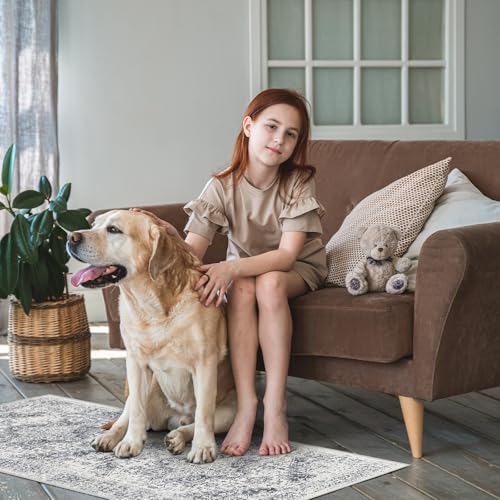 2x5 Washable Runner Rug (Distressed Grey / 2x5)