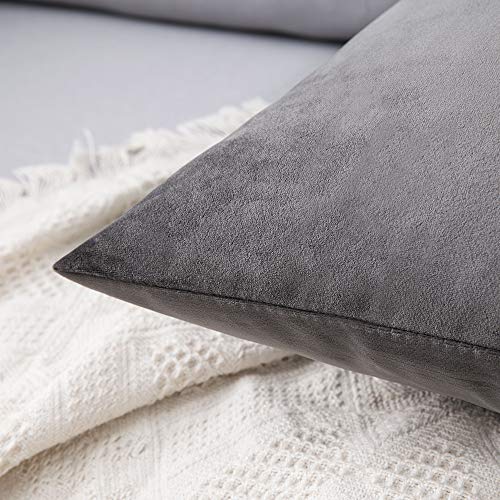 12x20 Inch Lumbar Velvet Throw Pillow Covers Medium Gray (20" x 12" (Pack of 2) / Medium Gray)