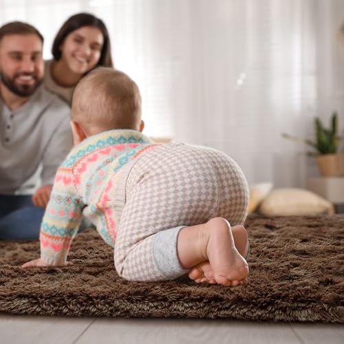 Fluffy Rug for Bedroom Living Room (6' x 9' / Brown)