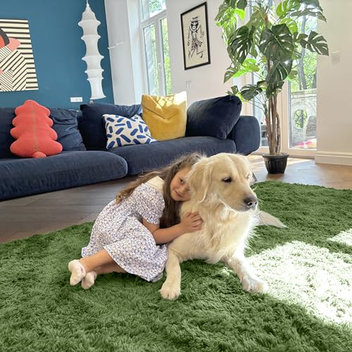 Area Rugs for Living Room Bedroom (4x5.9 Ft / Green)