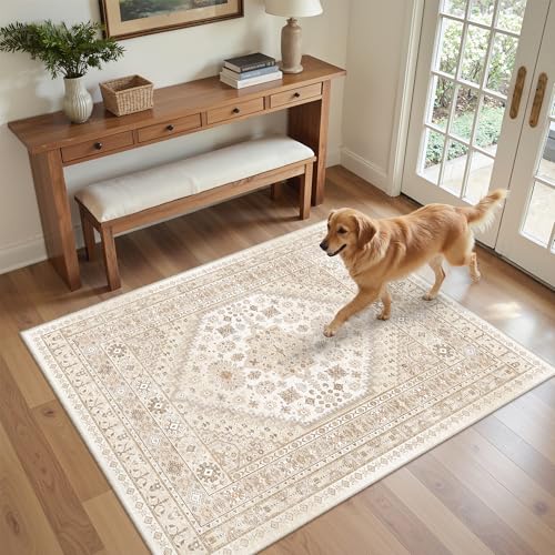 4x6 Area Rug for Entryway (Cream/Beige / 4' x 6' (Rectangular))