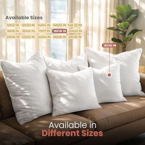18x18 Pillow Inserts (White / 18x18 Inch)