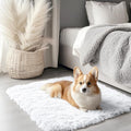 2x2 Machine Washable Small Rug (2×2 Ft Square / White)