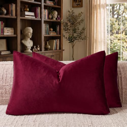 Burgundy Velvet Pillow Covers 12x20 Decorative Pillows Pack of 2 (Burgundy / 20" x 12" (Pack of 2))