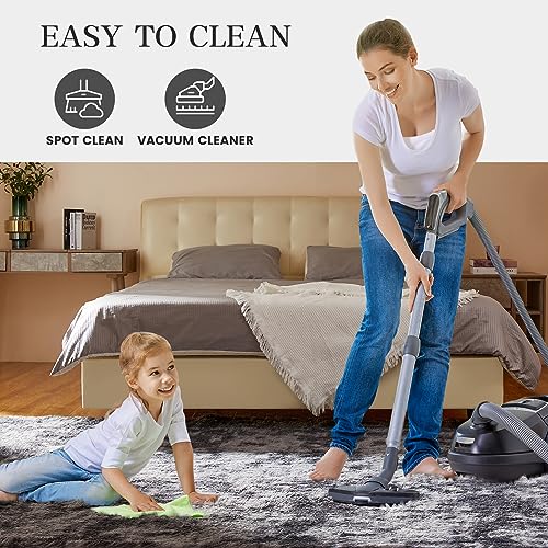 Shag Area Rugs for Living Room 5x7 Feet (Dark Grey / 5' x 7' (Rectangular))