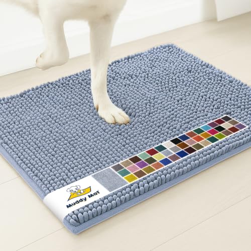 Super Water Absorbent Door Mat Indoor (Baby Blue / 19" x 30")
