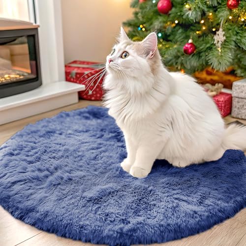 Denim Blue Round Rugs for Bedroom (2 Ft Round / Denim Blue)