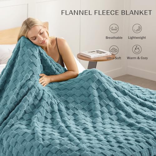 3D Checkered Fleece Queen Blanket for Bed (Celadon / Queen (90"x90"))