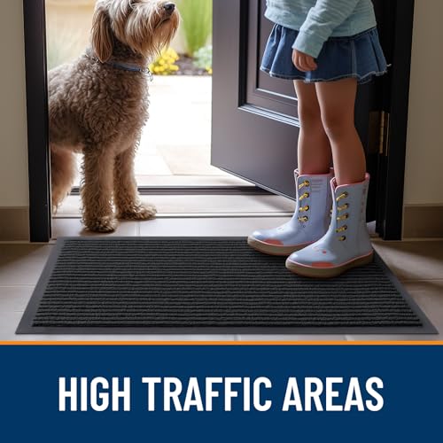 2 Pack Front Door Mats 35x23 (Black / 35" x 23")