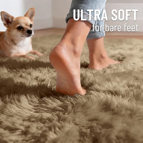 Area Rugs for Living Room Bedroom (4x5.9 Ft / Taupe)