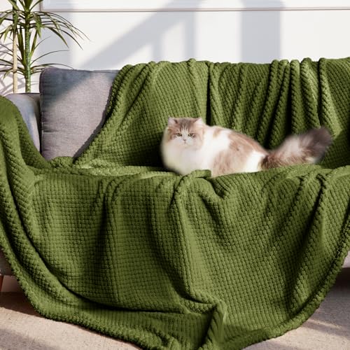 Extra Large Soft Fleece Throw Blanket for Couch (Olive / Throw(50x70 In))