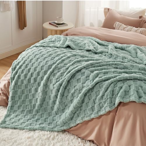 Checkered Soft Cozy Queen Blanket for Bed (01 Sage Green / Queen (90" X 90"))