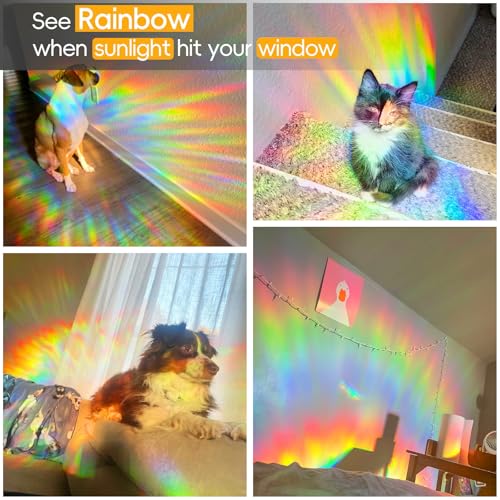 Rainbow Window Privacy Film Decorative Window Sticker (Pink / 29.5 Inch * 78.74 Inch)