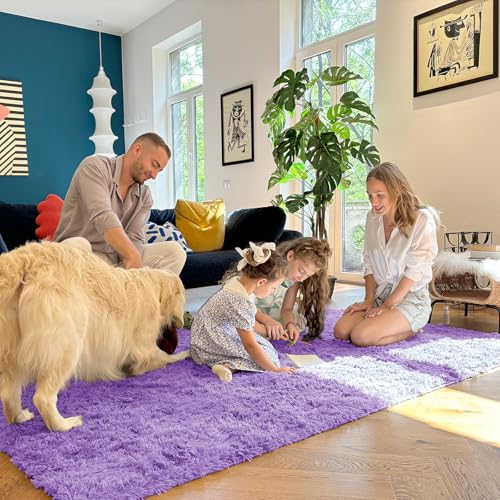 2x6 Machine Washable Runner Rugs for Hallway (2x6 Ft / Purple)