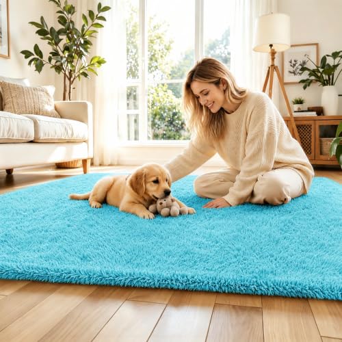6x9 Teal Blue Shag Area Rug for Living Room (Teal Blue / 6' x 9' (Rectangular))