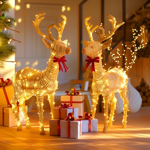 Fairy Lights Plug in (Warm White / 100 LEDs - 2Pack)
