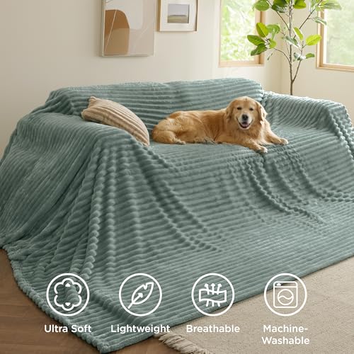Soft Large Fleece Blanket for Bed Sage Green 120"x120" (Sage Green / Large)