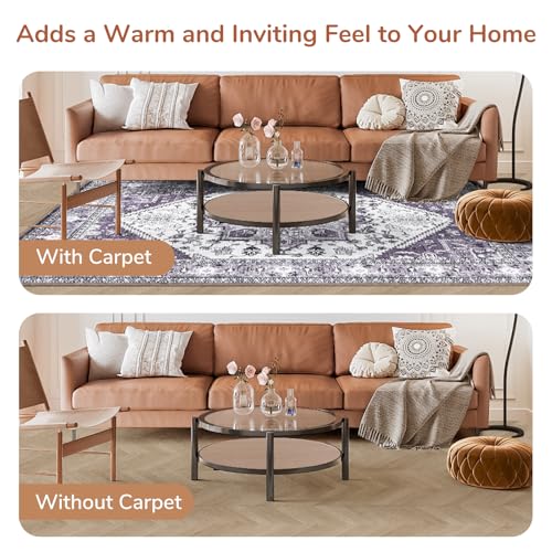 Soft Area Rugs 4x6 (4' x 6' (Rectangular) / Purple)