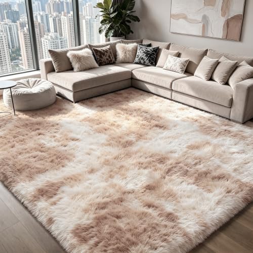 Shag Area Rugs for Bedroom Living Room