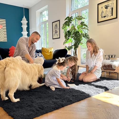 7x9 Machine Washable Large Area Rugs for Living Room (7x9 Ft / Black)