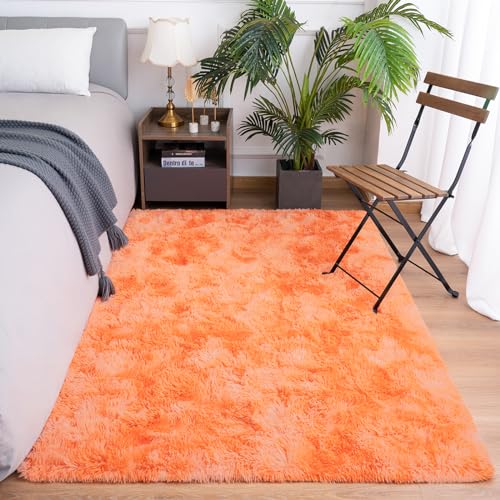 Fluffy Rug for Bedroom Living Room (4' x 6' / Orange)