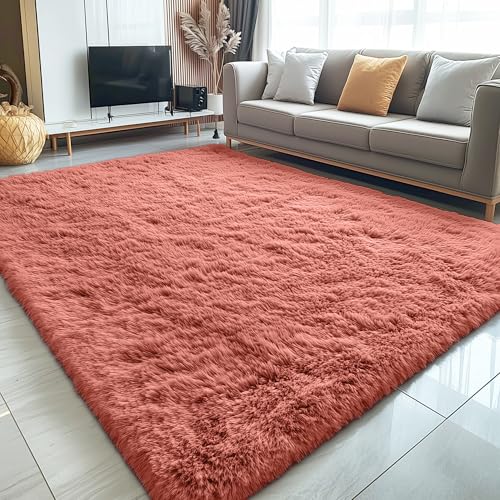 5x8 Machine Washable Large Area Rugs for Living Room (5x8 Ft / Rust Red)