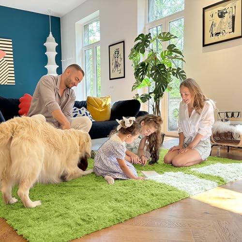 Area Rugs for Living Room Bedroom (4x5.9 Ft / Grass Green)
