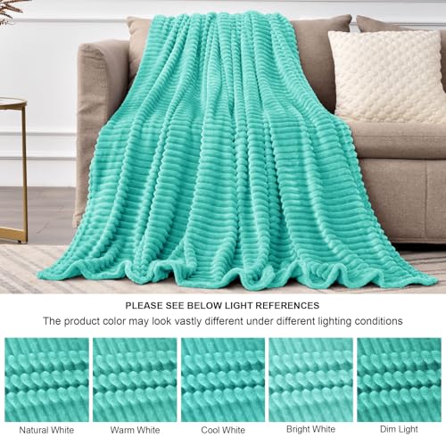 3D Ribbed Jacquard Aqua Fleece Throw Blanket for Couch (Aqua / Throw(50"x60"))