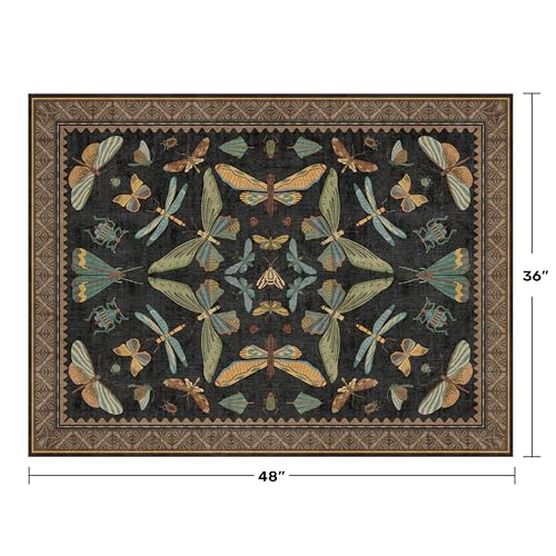 Black Front Door Mat Indoor Entrance Non Slip Washable (3' x 4' (Rectangular) / Black / Multi)