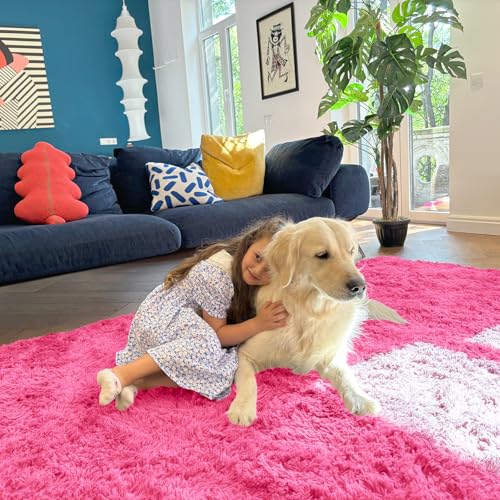5x7 Machine Washable Large Area Rugs for Living Room (5x7 Ft / Hot Pink)