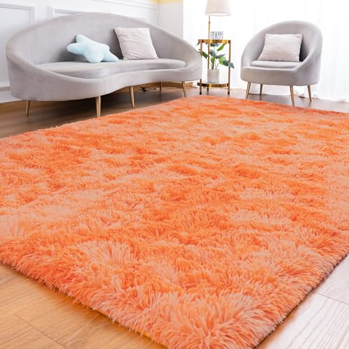 Fluffy Rug for Bedroom Living Room (4' x 6' / Orange)