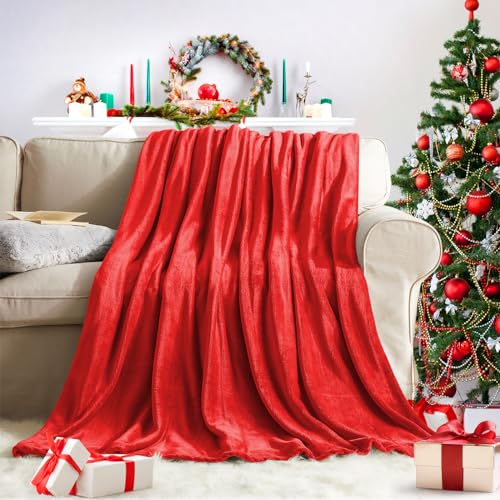 Super Soft Throw Blanket Premium Silky Flannel Fleece Twin Red Microfiber Lightweight Blanket All Season Use (Red / Twin(60"x80"))