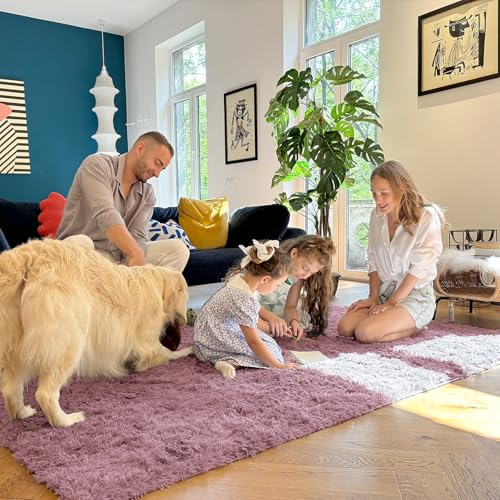 5x8 Machine Washable Large Area Rugs for Living Room (5x8 Ft / Blush)
