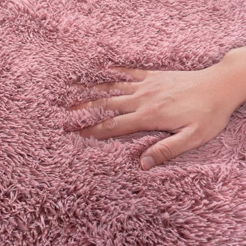 Rugs for Living Room 8x10 (8' x 10' (Rectangular) / Blush)