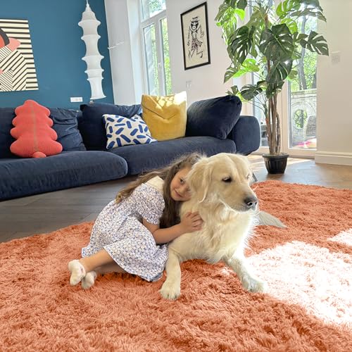 5x8 Machine Washable Large Area Rugs for Living Room (5x8 Ft / Muted Orange)