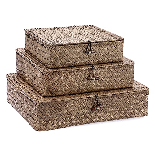 Set of 3 Flat Wicker Basket Bins with Lid (Small+Large+X-Large / Coffee)