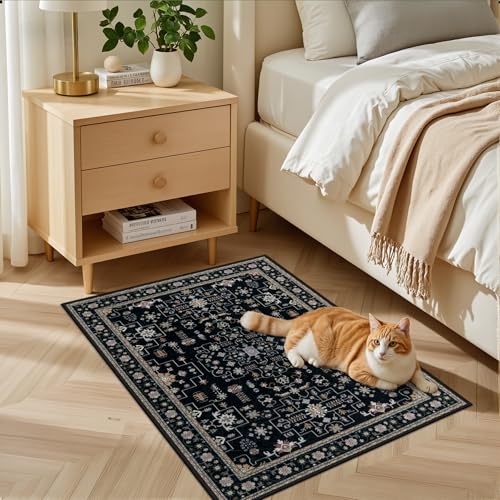 2x3 Area Rugs Living Room (Black / 2' x 3' (Rectangular))