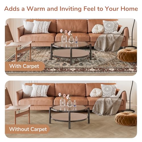 Soft Area Rugs 10x14 (10' x 14' (Rectangular) / Brown)
