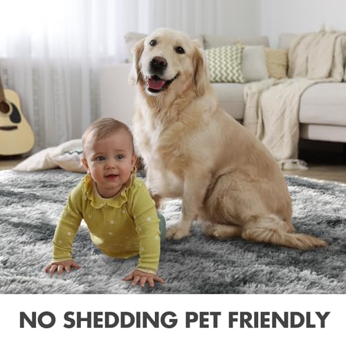 5x7 Ft Large Shag Rugs for Bedroom Living Room (Fc Grey 5sm04 / 5' X 7' (Rectangular))