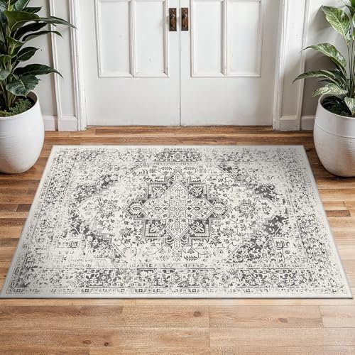 2x3 Washable Area Rug for Entryway (Distressed Grey / 2x3)